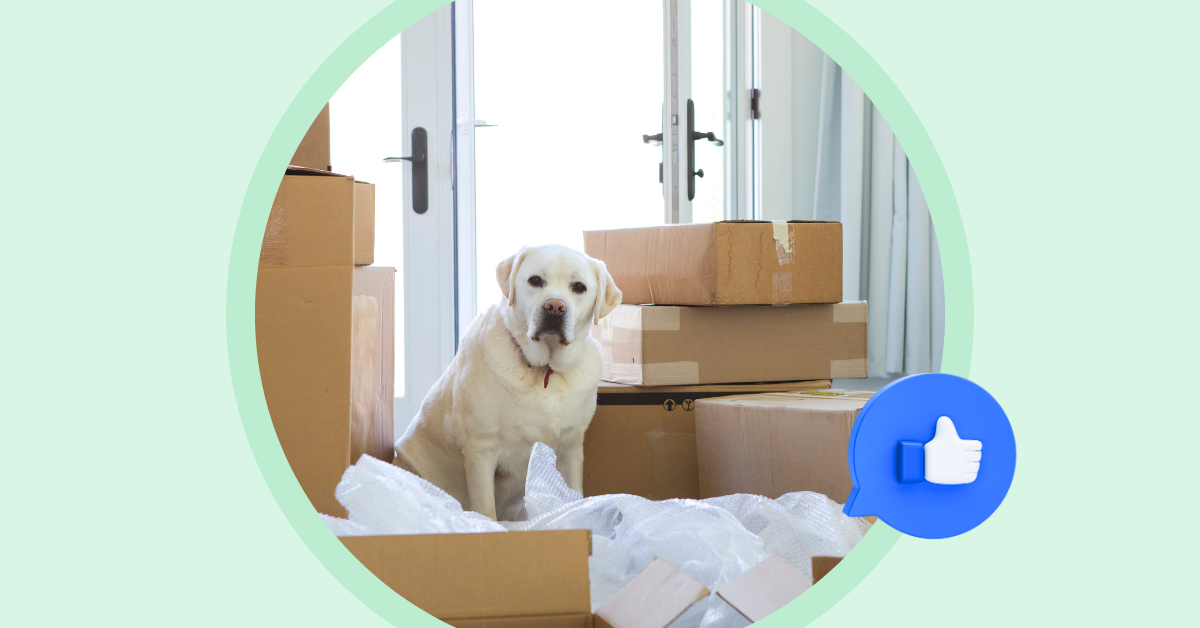 Build Your Moving Company Content Strategy in 7 Steps